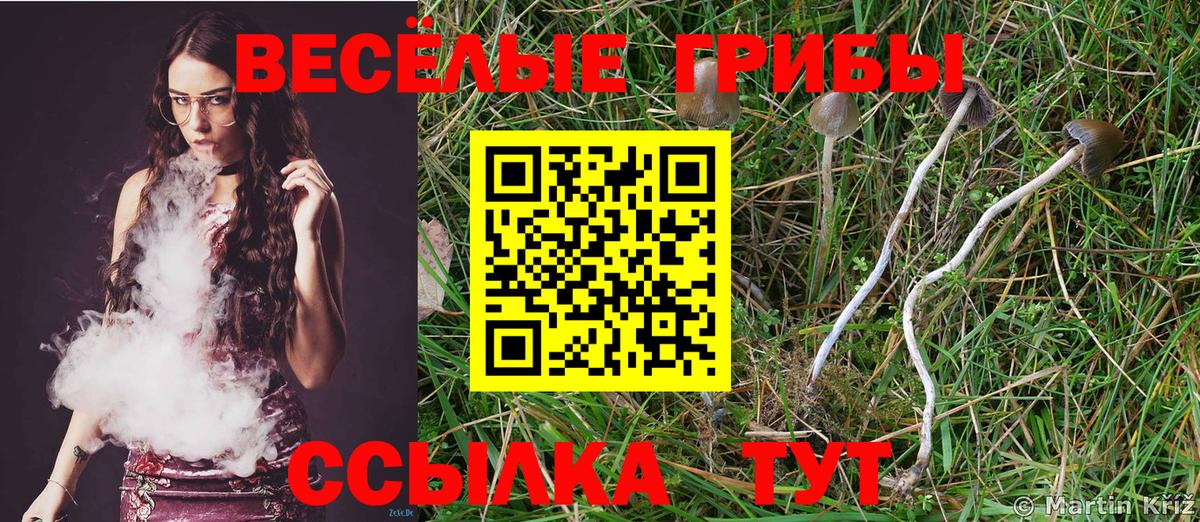 Псилоцибиновые грибы MAGIC MUSHROOMS  магазин продажи   Орск  Галлюциногенные грибы прущие грибы  Вход с VPN 